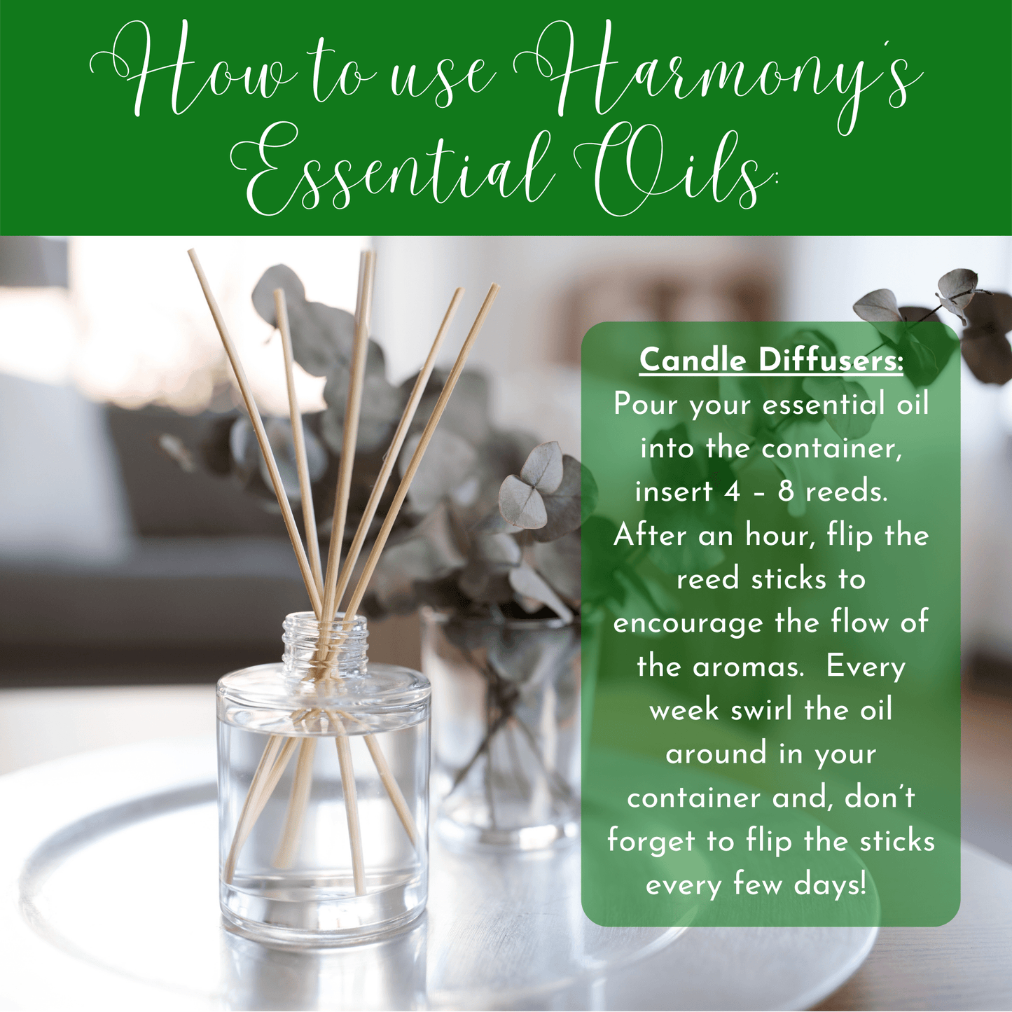 H.E.A.L.'s Essential Oils - Frankincense: 0.5oz