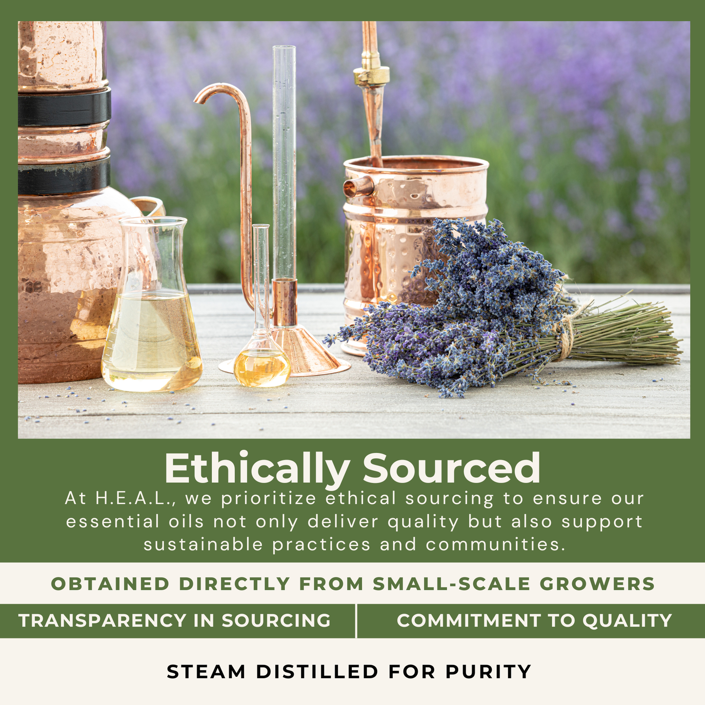 H.E.A.L.'s Essential Oils - Frankincense: 0.5oz